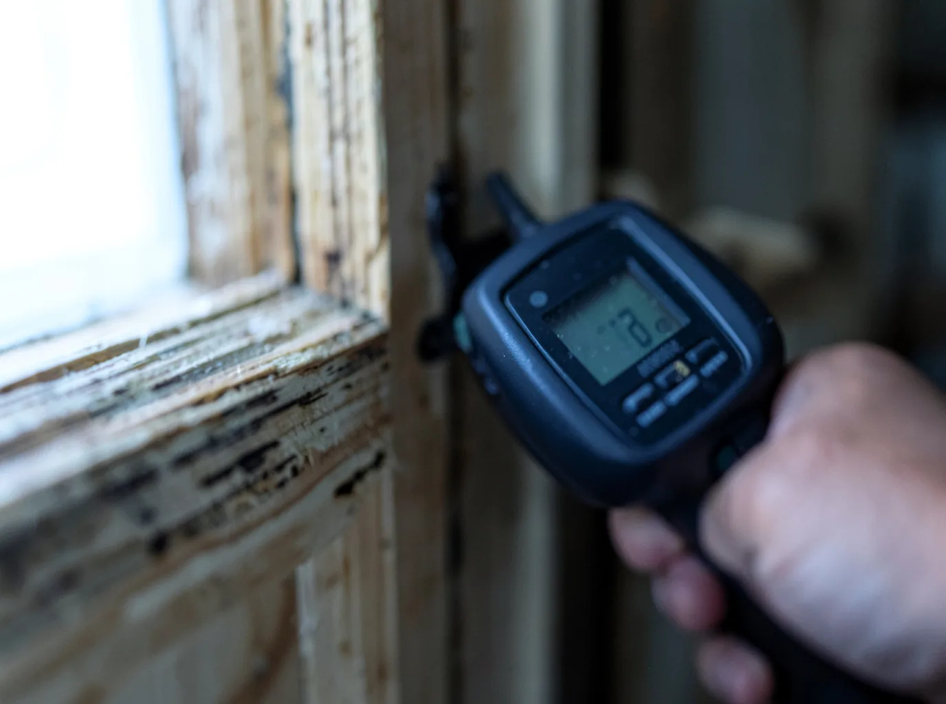 Moisture Inspection And Documentation in Velarde, NM